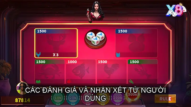 Các đánh giá và nhận xét từ người dùng